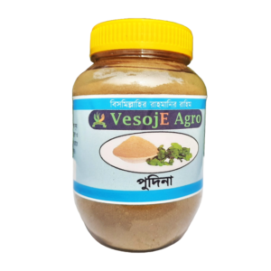 Mint/ Pudina powder (পুদিনা গুড়া )-100gm